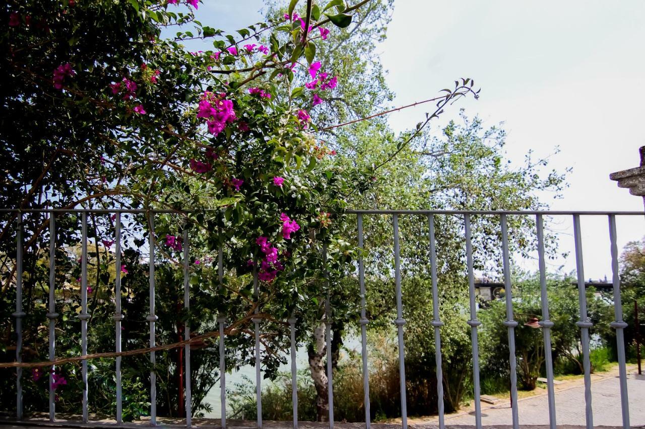 Misterhost Triana Patio De Flores Apartment