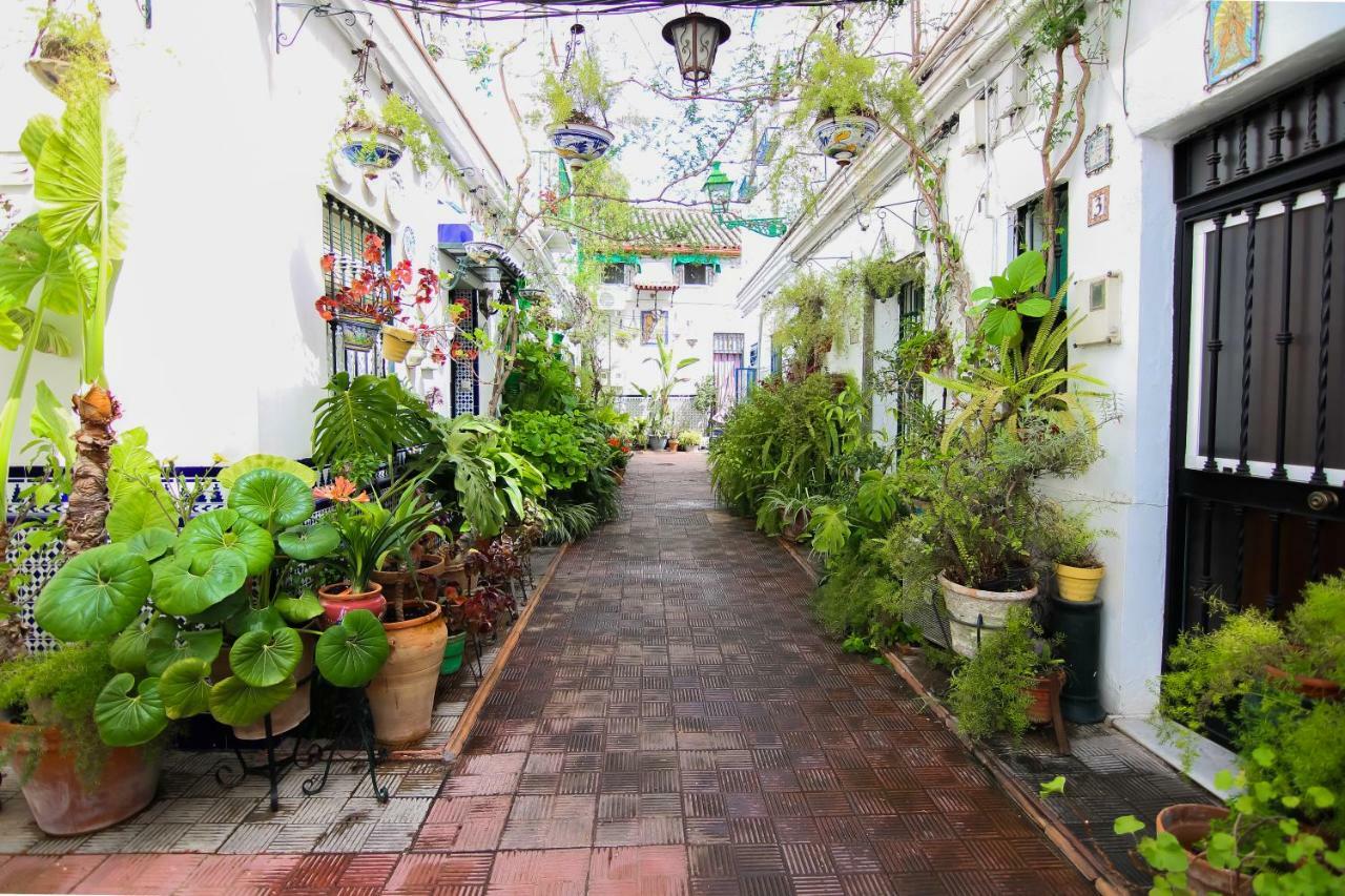 Misterhost Triana Patio De Flores *